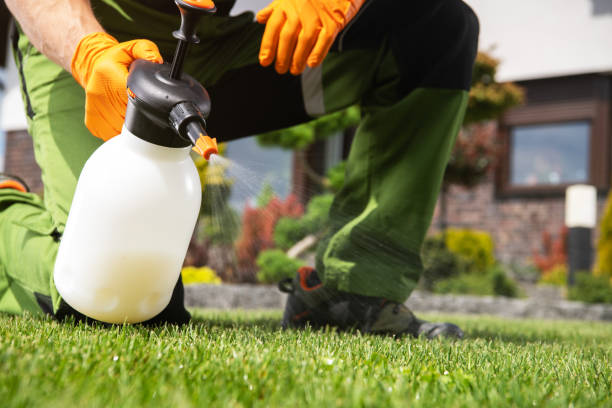 Best Best Pest Control Companies  in Rtez, CO