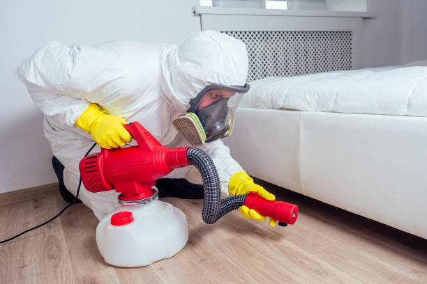 Best Affordable Pest Control Services  in Rtez, CO