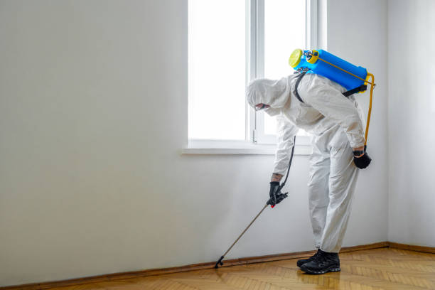Best Wildlife Control Services  in Rtez, CO