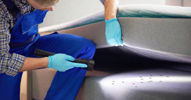 Best Pest Prevention Services  in Rtez, CO