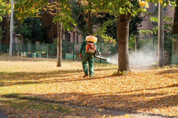 Best Local Pest Control Services  in Rtez, CO