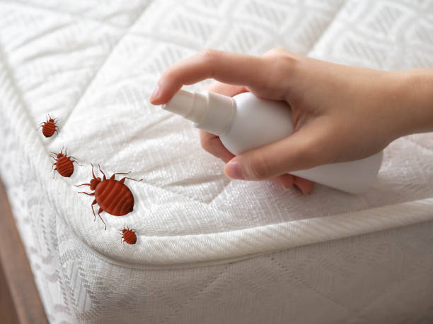 Best Best Pest Control Companies  in Rtez, CO