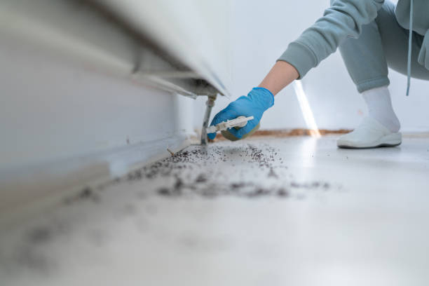 Best Commercial Pest Control Services  in Rtez, CO